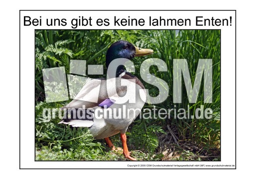 Lahme-Ente-1.pdf